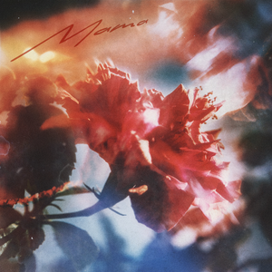 日本少妇棵、体
